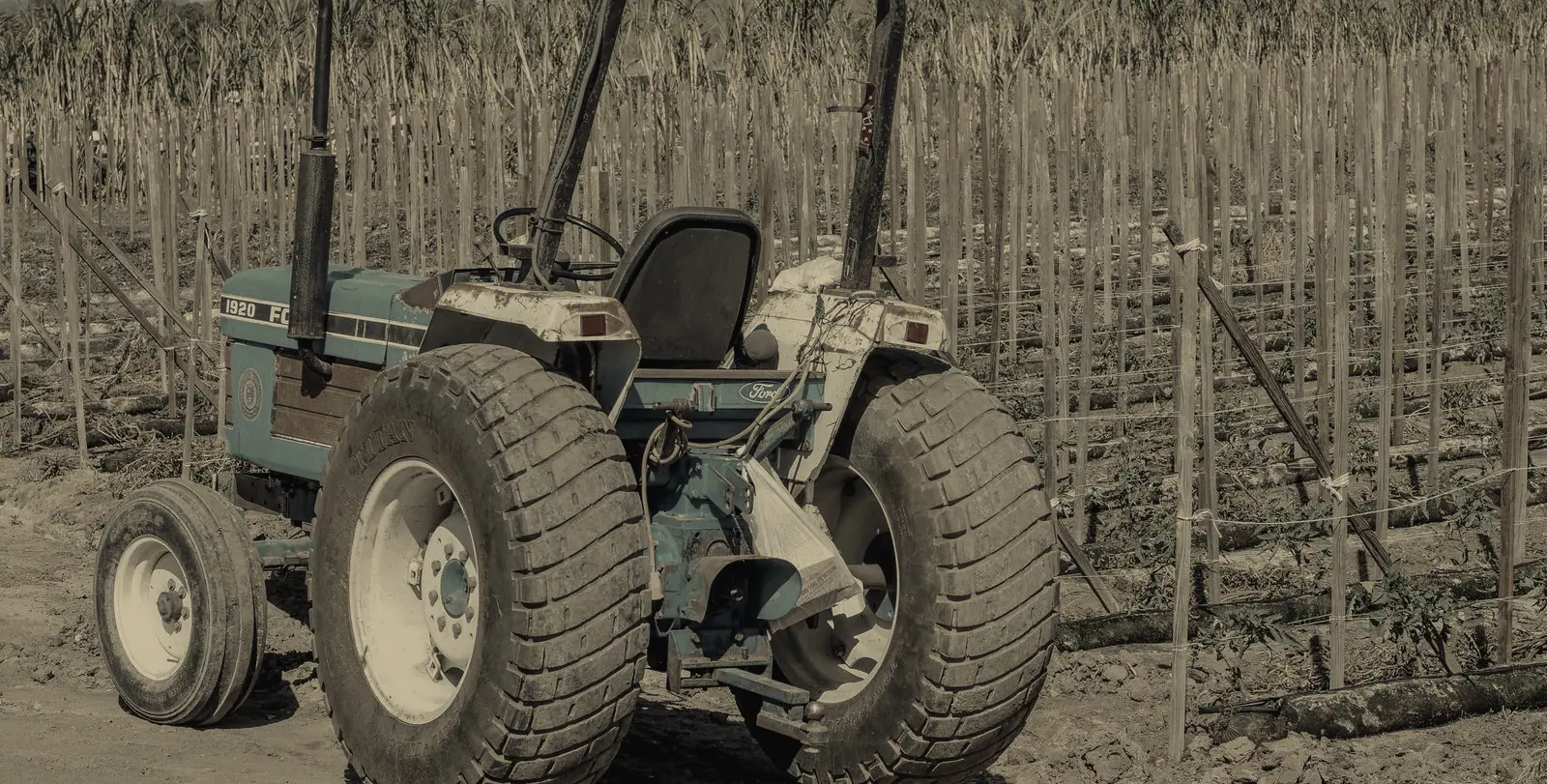 Tractor en una finca de Mendoza